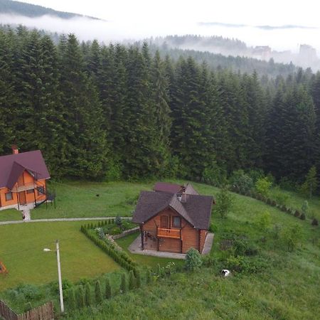 Sadyba Drymba Skhidnytsia Luaran gambar