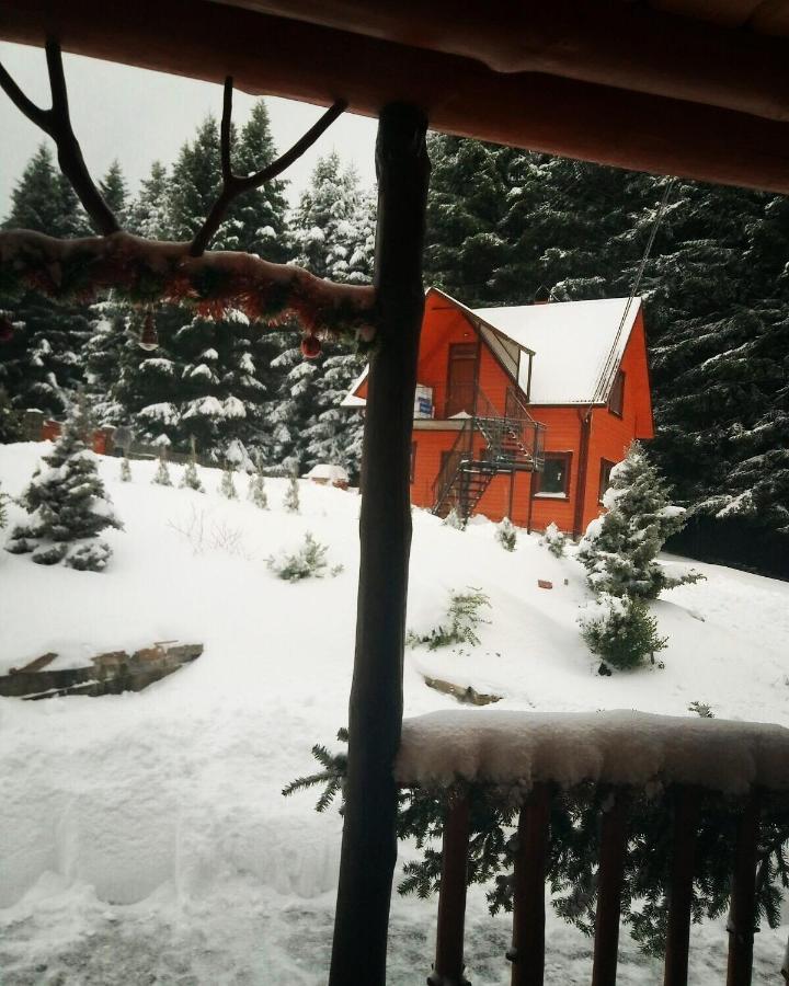 Sadyba Drymba Skhidnytsia Luaran gambar