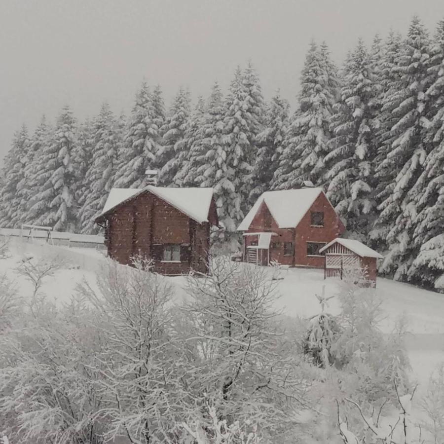 Sadyba Drymba Skhidnytsia Luaran gambar