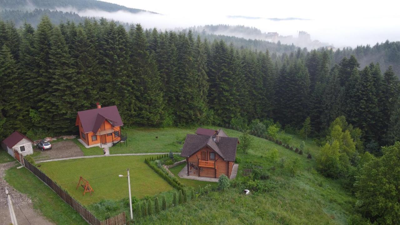 Sadyba Drymba Skhidnytsia Luaran gambar