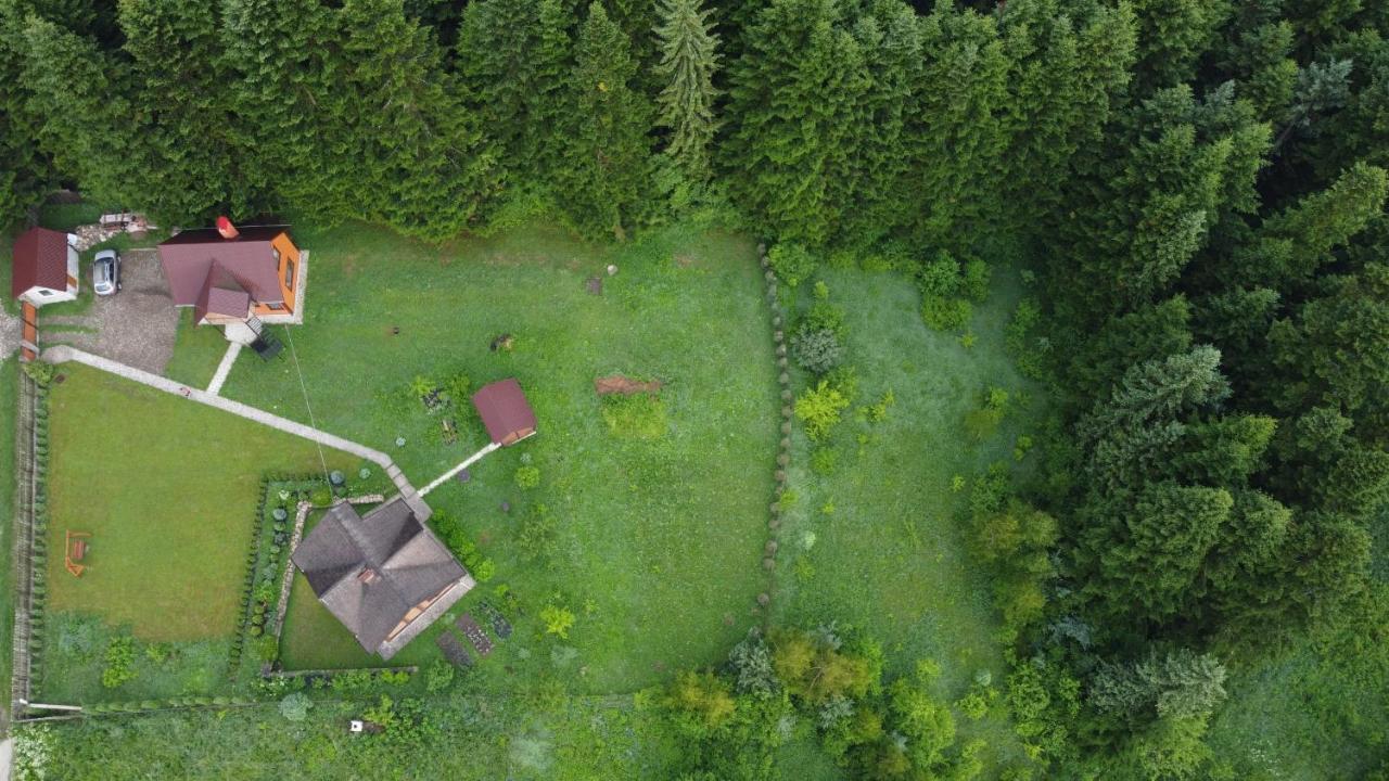 Sadyba Drymba Skhidnytsia Luaran gambar