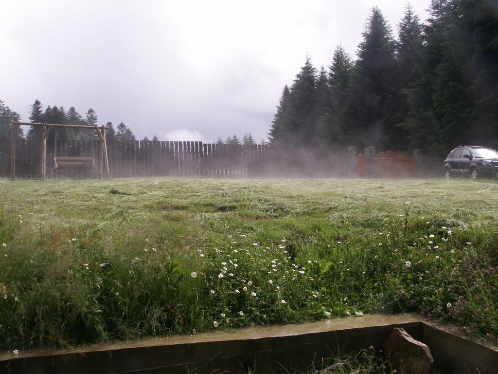 Sadyba Drymba Skhidnytsia Luaran gambar
