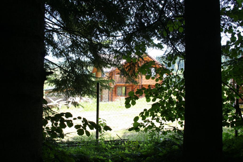 Sadyba Drymba Skhidnytsia Luaran gambar