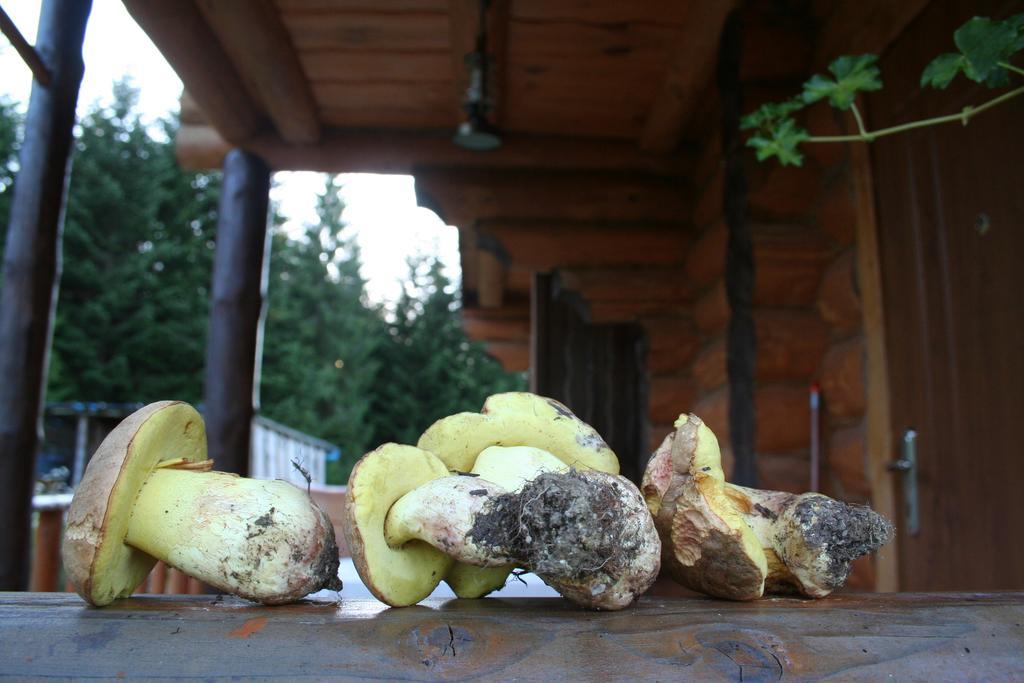 Sadyba Drymba Skhidnytsia Luaran gambar